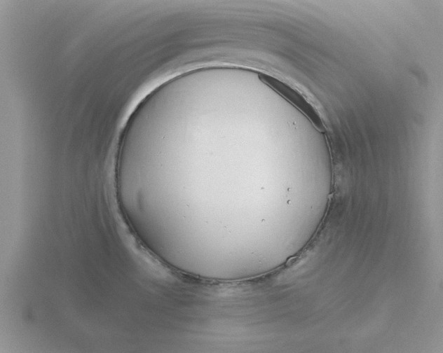 X0000115821530200912111240