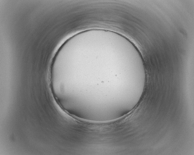 X0000115821531200912111240