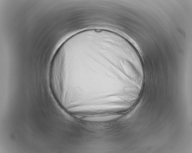 X0000115821533200912111240