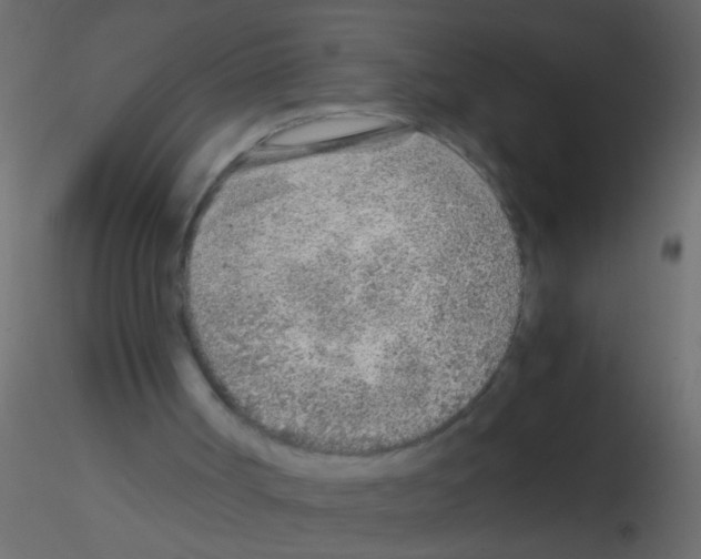 X0000115820002200912241945