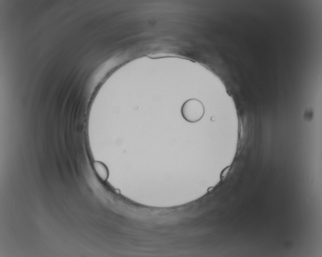 X0000115820003200912241945