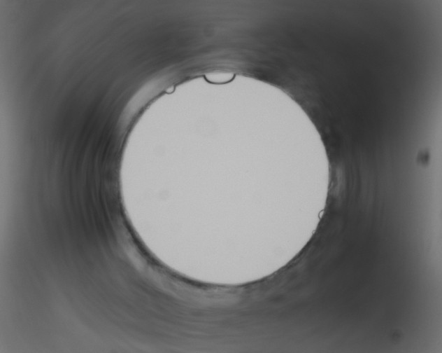 X0000115820004200912241945