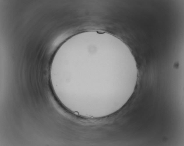 X0000115820005200912241944