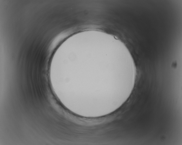 X0000115820006200912241944