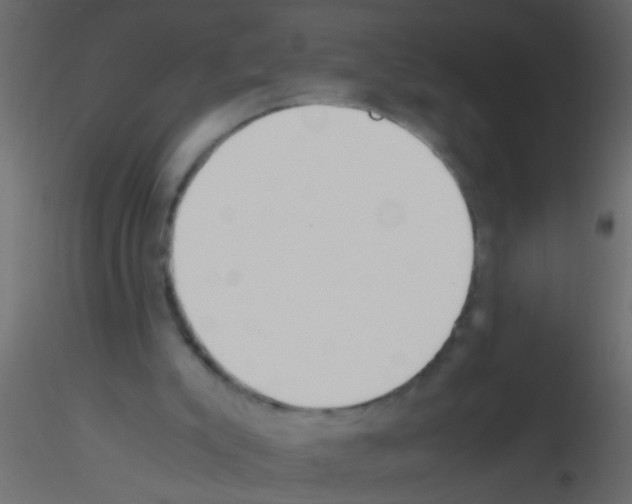 X0000115820007200912241944