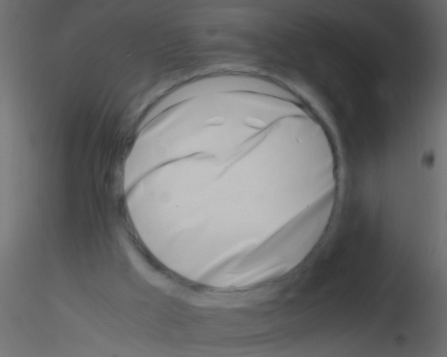 X0000115820009200912241944