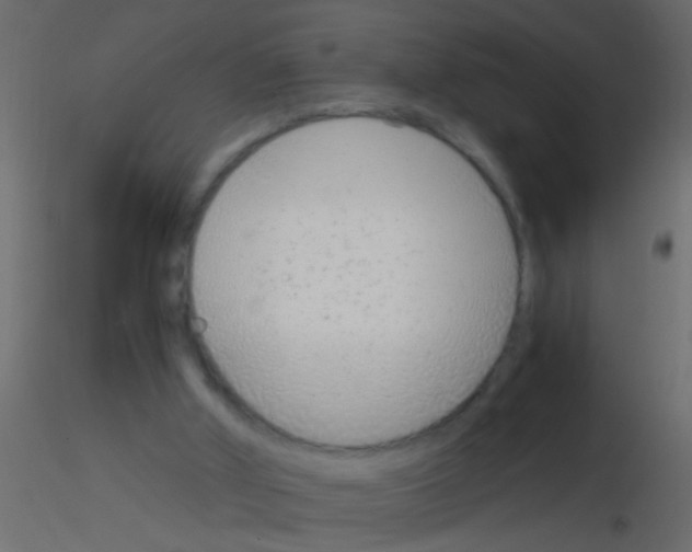 X0000115820010200912241944