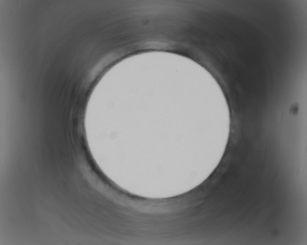 X0000115820011200912241944