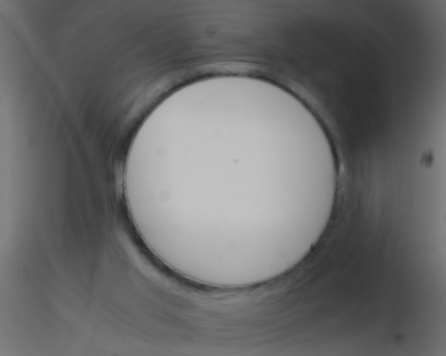 X0000115820013200912241944