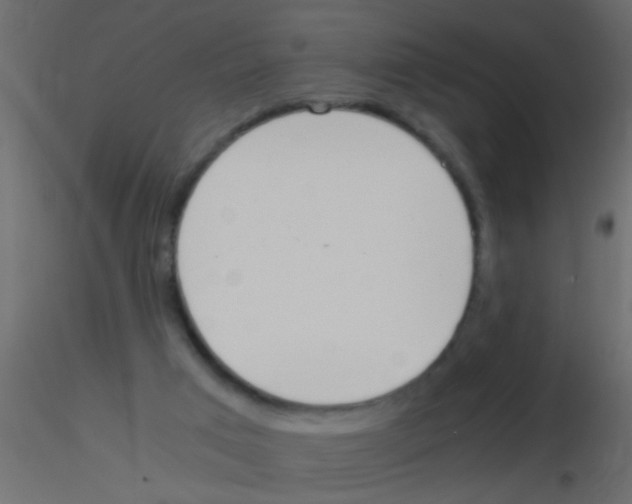 X0000115820017200912241944