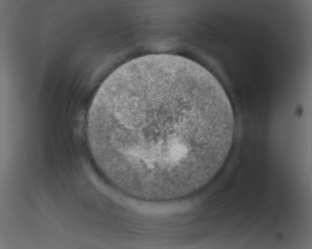 X0000115820018200912241944