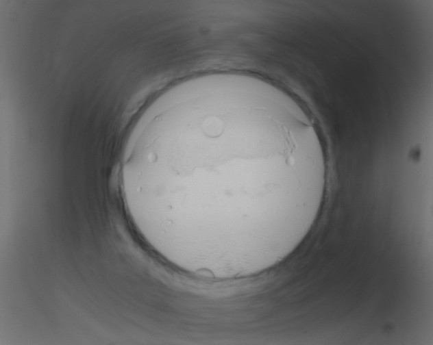 X0000115820019200912241944