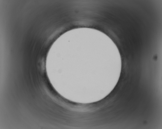 X0000115820020200912241944