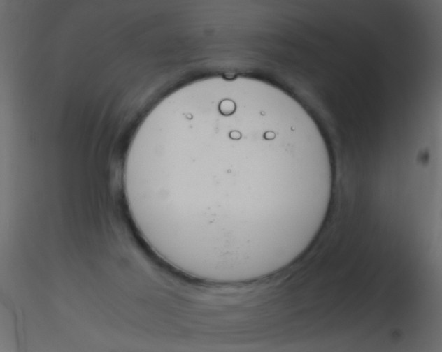 X0000115820021200912241944