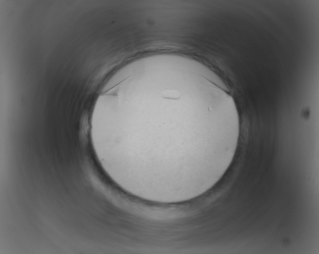 X0000115820024200912241944