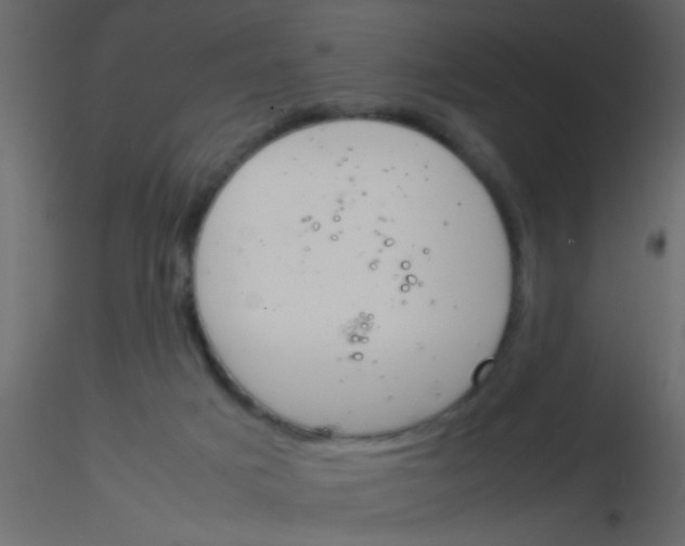 X0000115820025200912241944