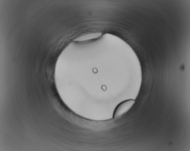 X0000115820031200912241944