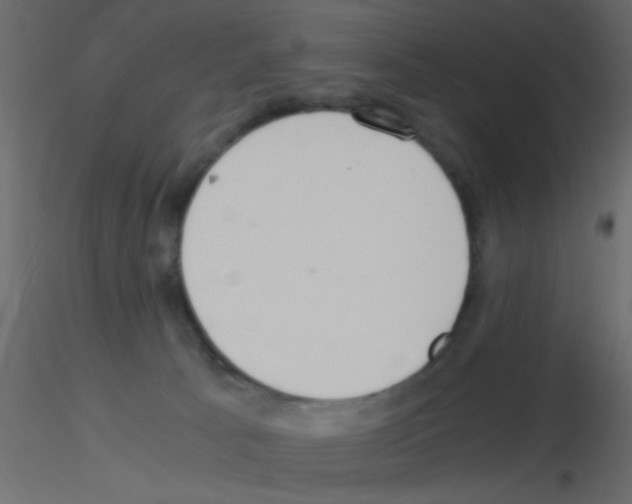 X0000115820033200912241944