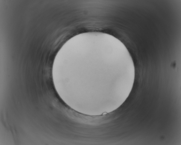 X0000115820035200912241944