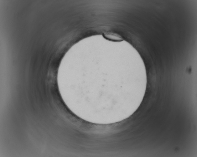 X0000115820037200912241944