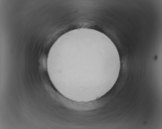 X0000115820042200912241944