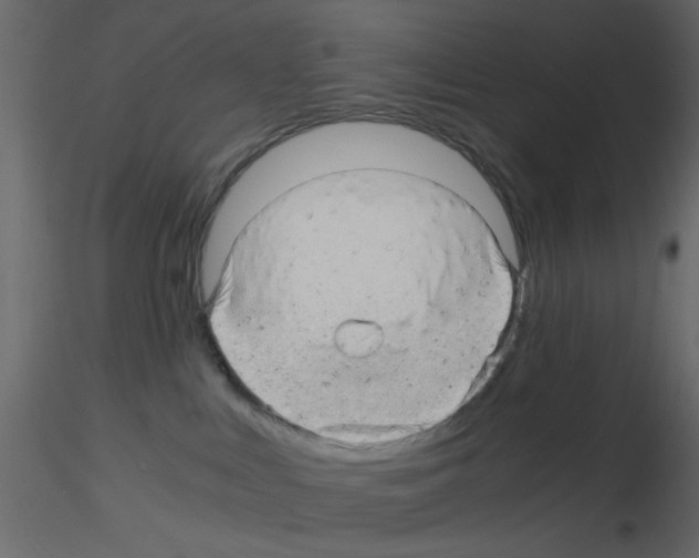 X0000115820043200912241944