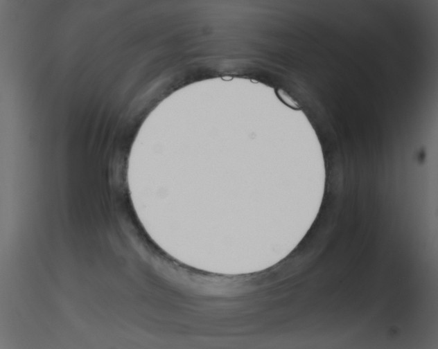 X0000115820044200912241944