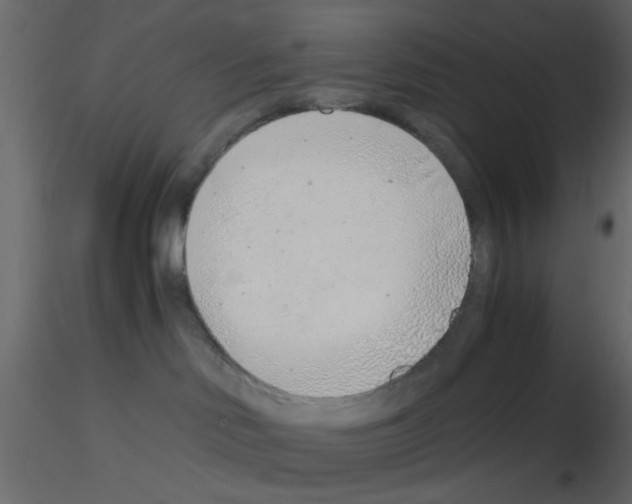 X0000115820046200912241944