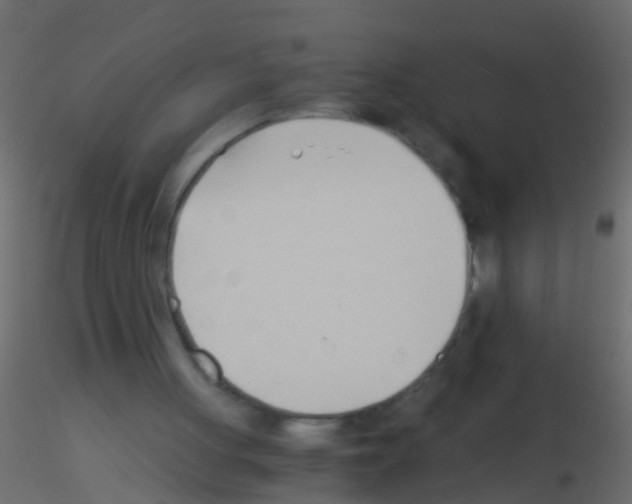 X0000115820051200912241943