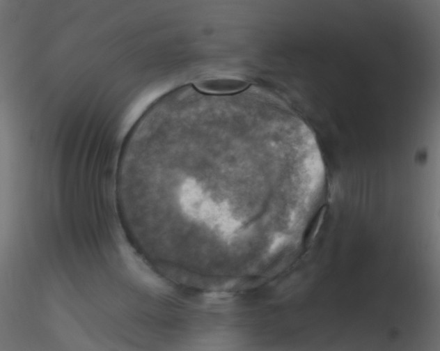 X0000115820052200912241943