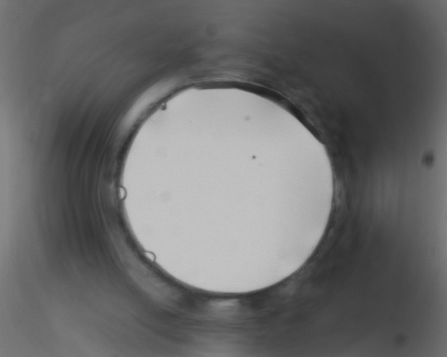 X0000115820054200912241943