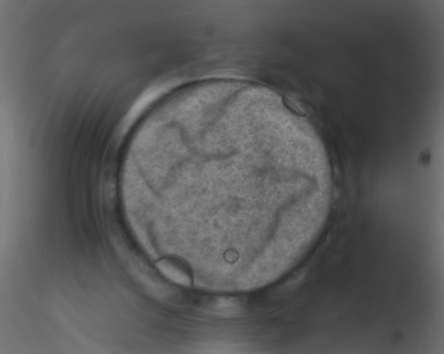 X0000115820056200912241943