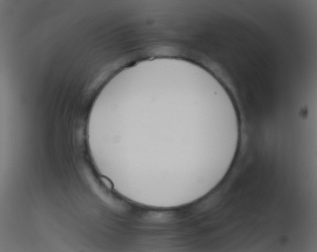 X0000115820057200912241943