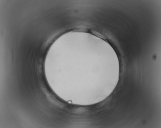 X0000115820058200912241943