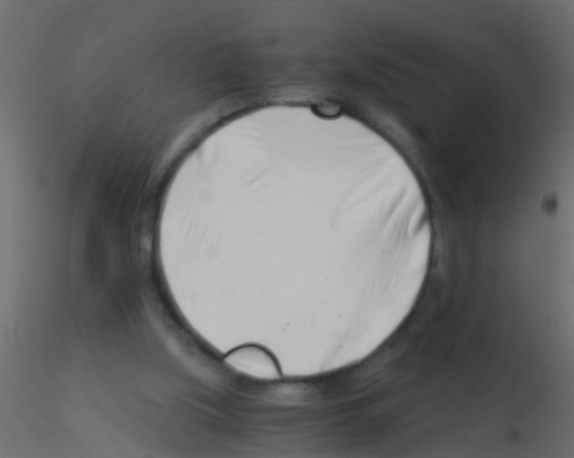 X0000115820059200912241943