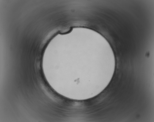 X0000115820060200912241943