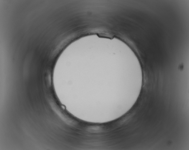 X0000115820061200912241943