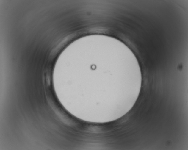 X0000115820062200912241943