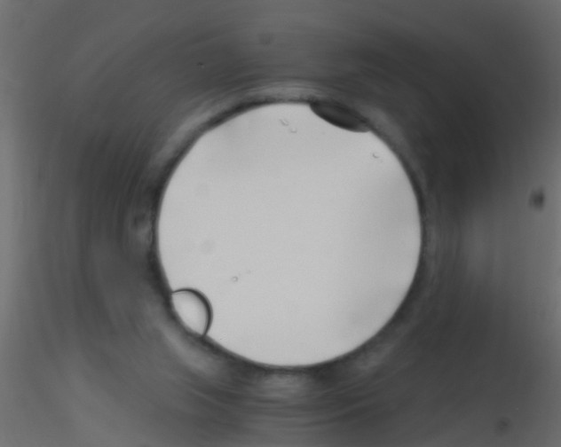 X0000115820063200912241943