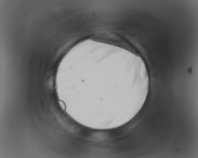 X0000115820067200912241944