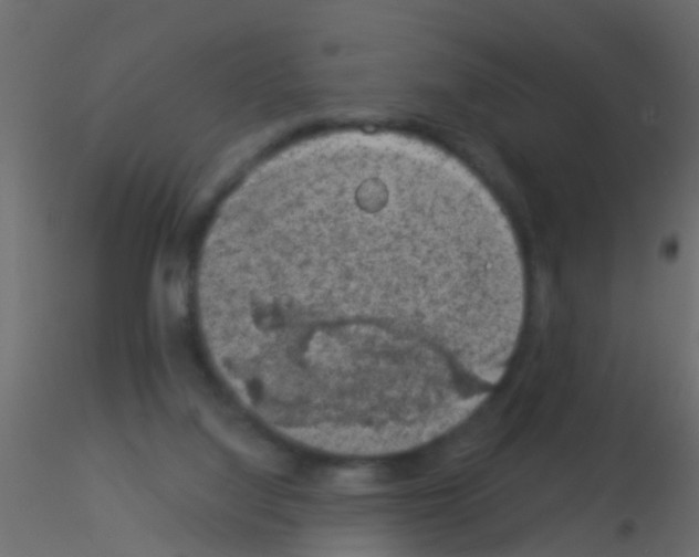 X0000115820068200912241944