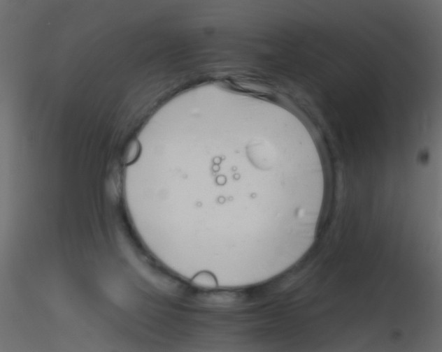 X0000115820069200912241944