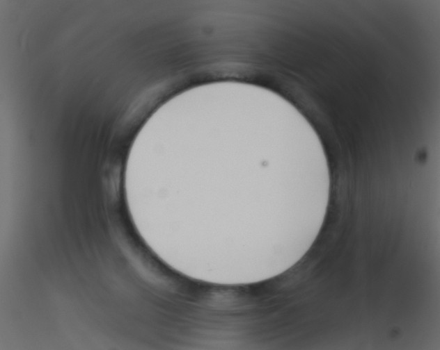 X0000115820070200912241944