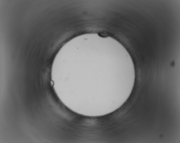 X0000115820071200912241944