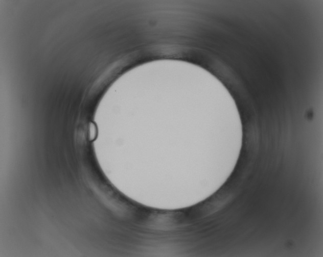 X0000115820072200912241944