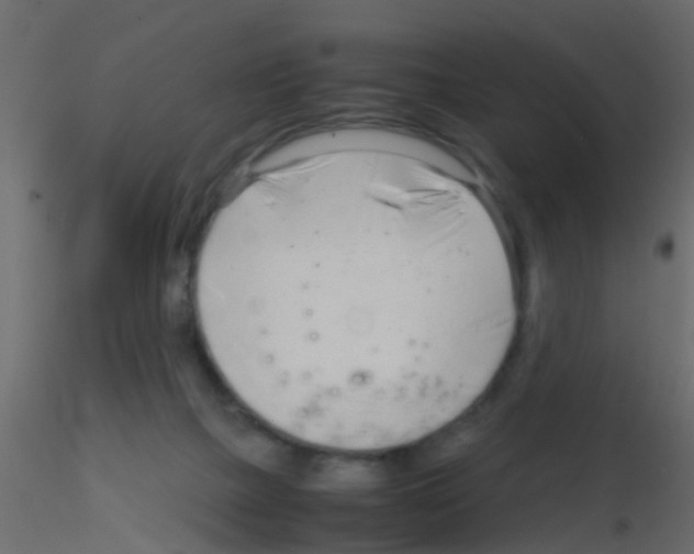 X0000115820073200912241944