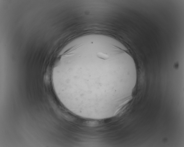 X0000115820074200912241944