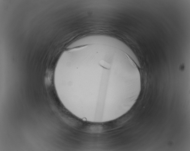 X0000115820075200912241944