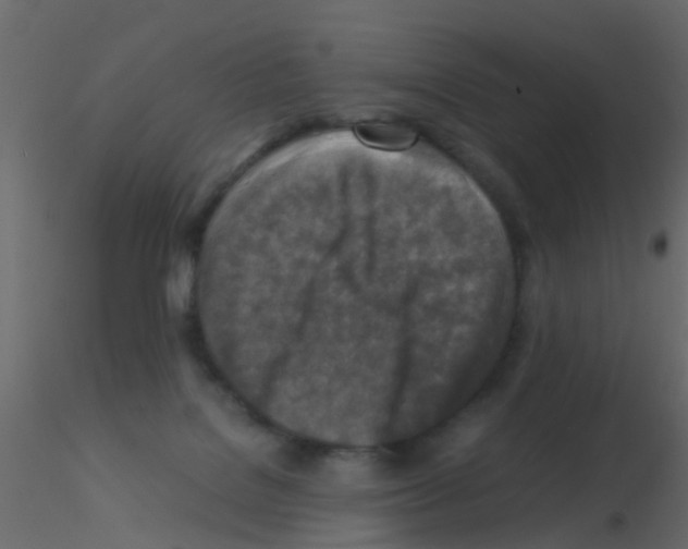 X0000115820076200912241944