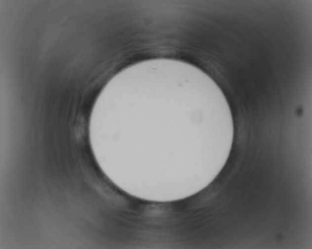 X0000115820077200912241944